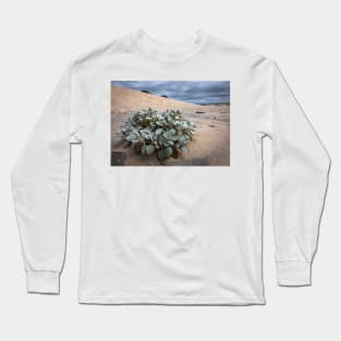 Sand Plant Long Sleeve T-Shirt